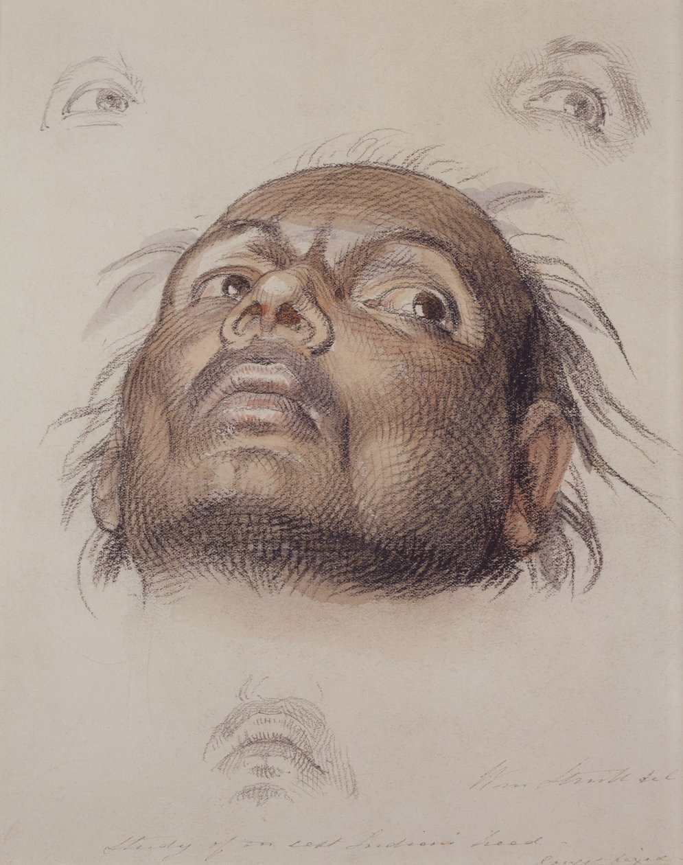 Studie eines Kopfes eines Ostinders, ca. 1875 (Kreide und Waschung auf Papier) von William Strutt
