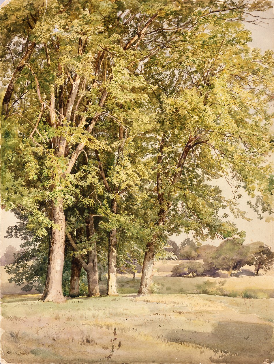 Ahornbäume in Chester County, Pennsylvania von William Trost Richards