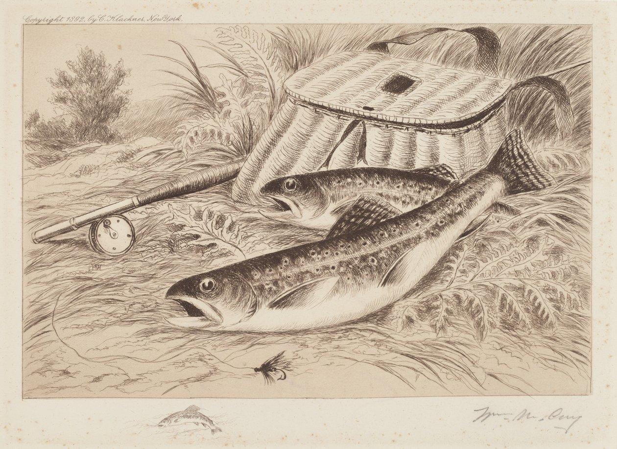 Ein guter Fang von William de la Montagne Cary