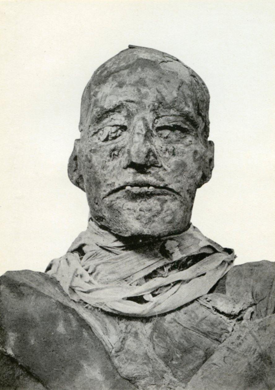 Kopf der Mumie von Ramses III., altägyptischer Pharao der 20. Dynastie, ca. 1156 v. Chr. 1926 von Winifred Mabel Brunton