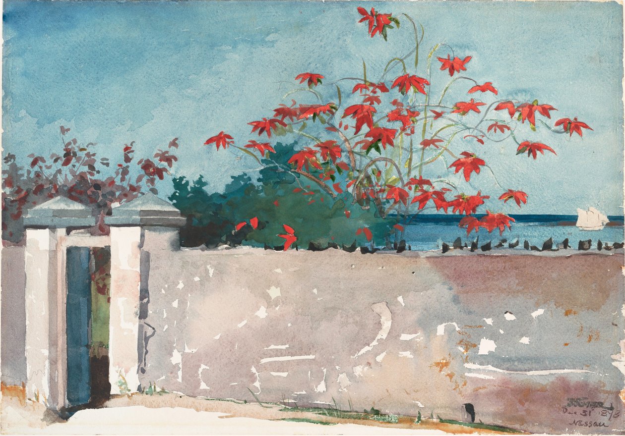 Eine Mauer, Nassau von Winslow Homer