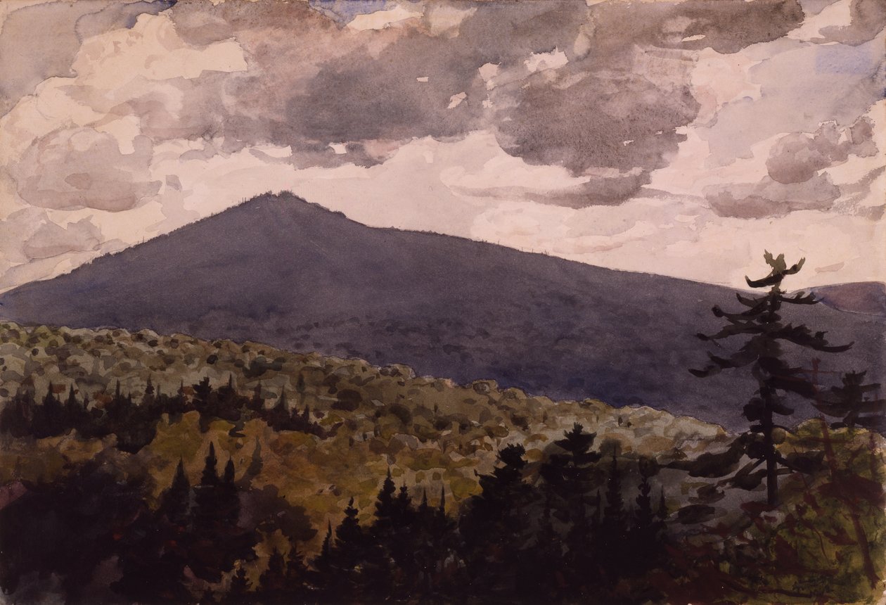Verbrannter Berg, 1902 von Winslow Homer
