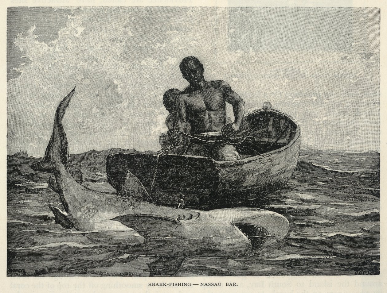 Ein Händler, Ein Nassau-Tor, Haifischfang--Nassau-Bar, aus The Century Magazine, Februar 1887 von Winslow Homer