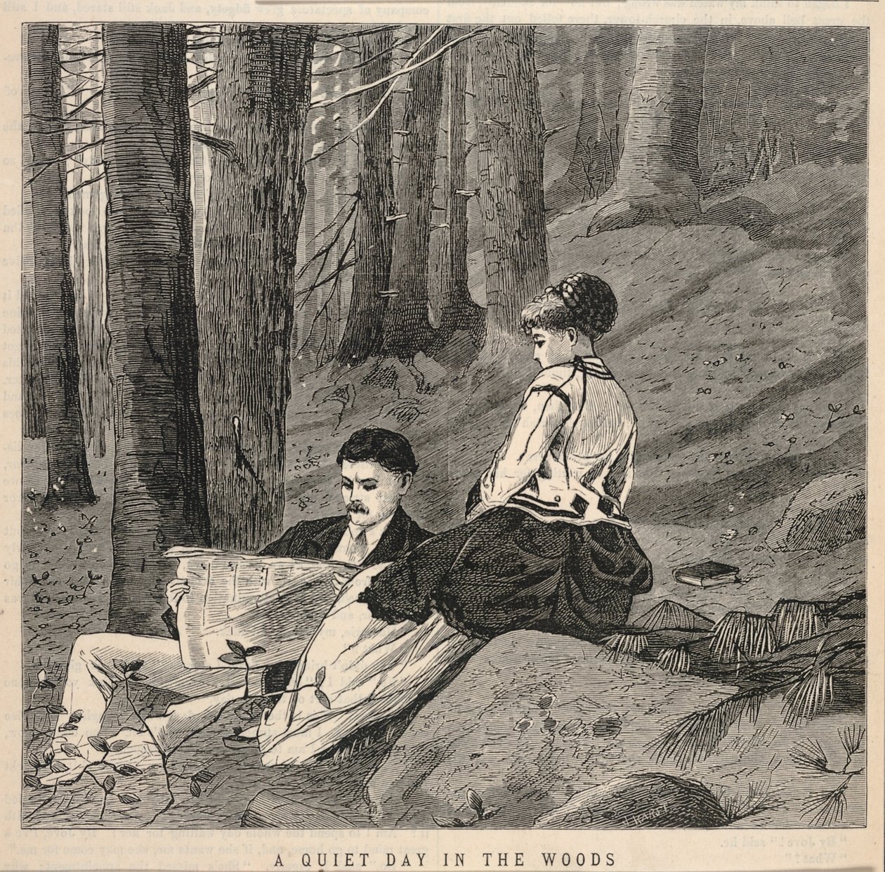 Ein ruhiger Tag im Wald, aus Appletons