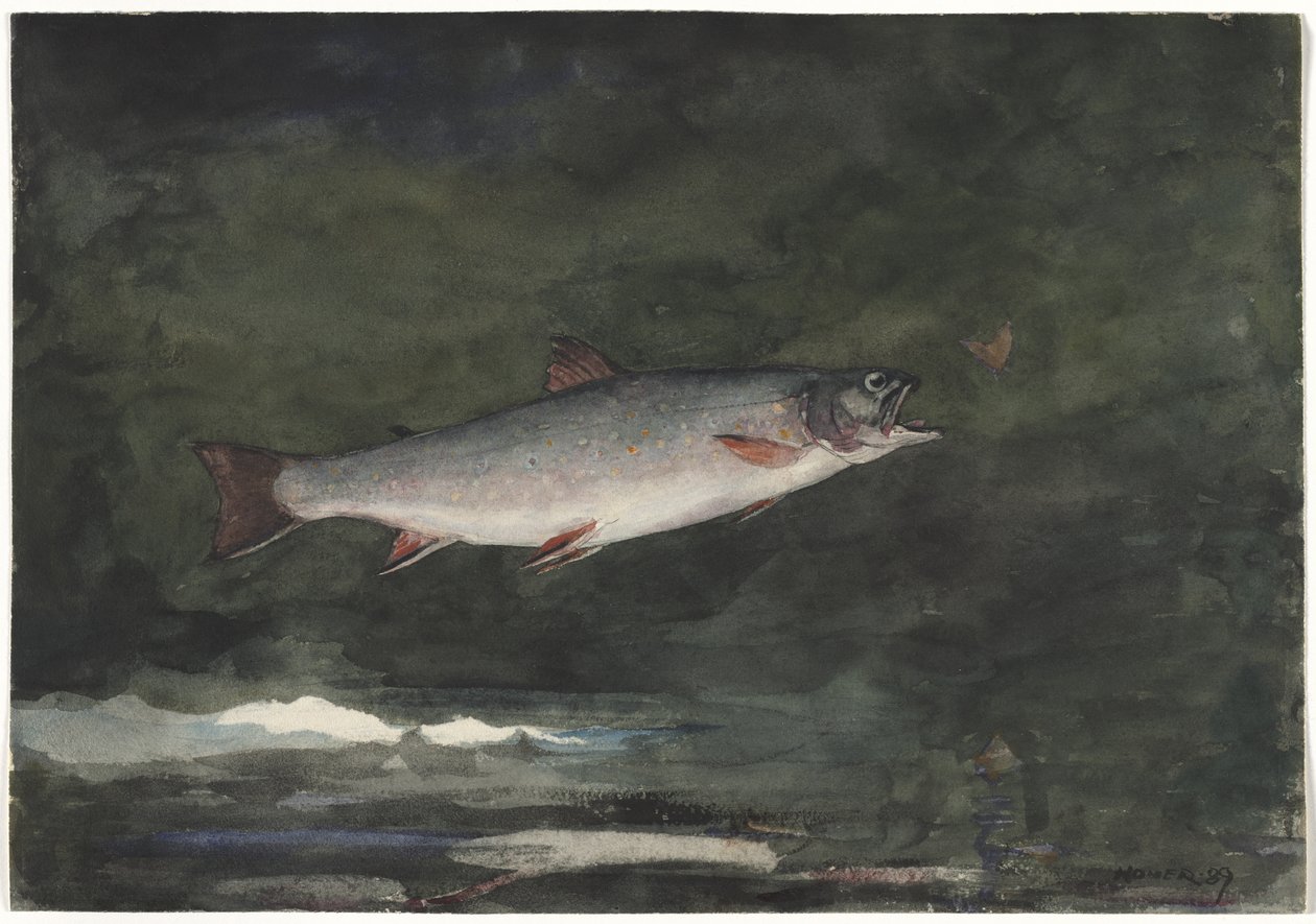 Springende Forelle von Winslow Homer
