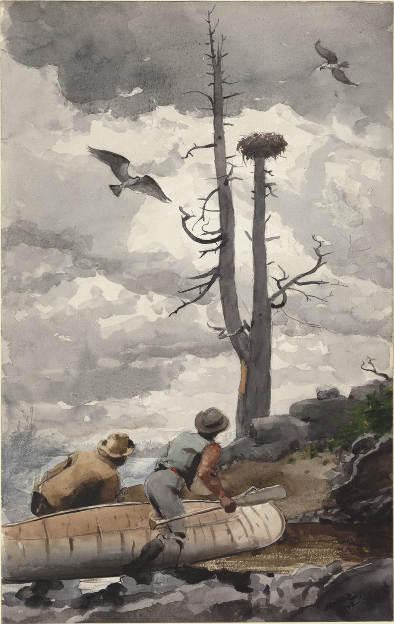 Das Nest des Adlers von Winslow Homer