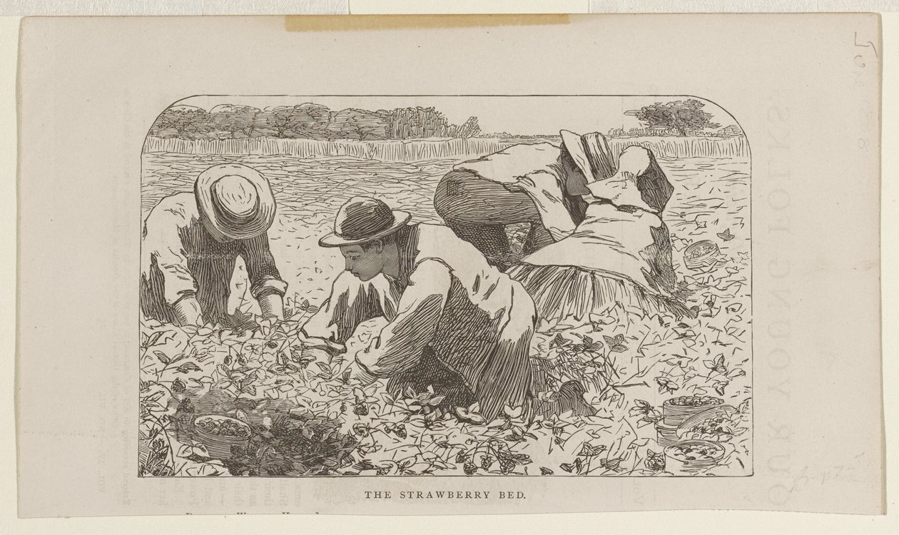 Das Erdbeerbeet von Winslow Homer