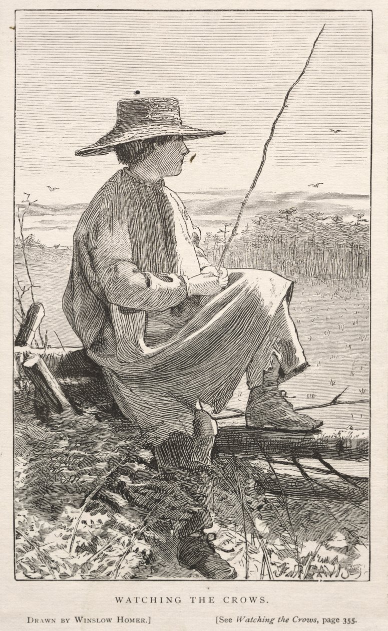 Die Krähen beobachten, 1868 von Winslow Homer