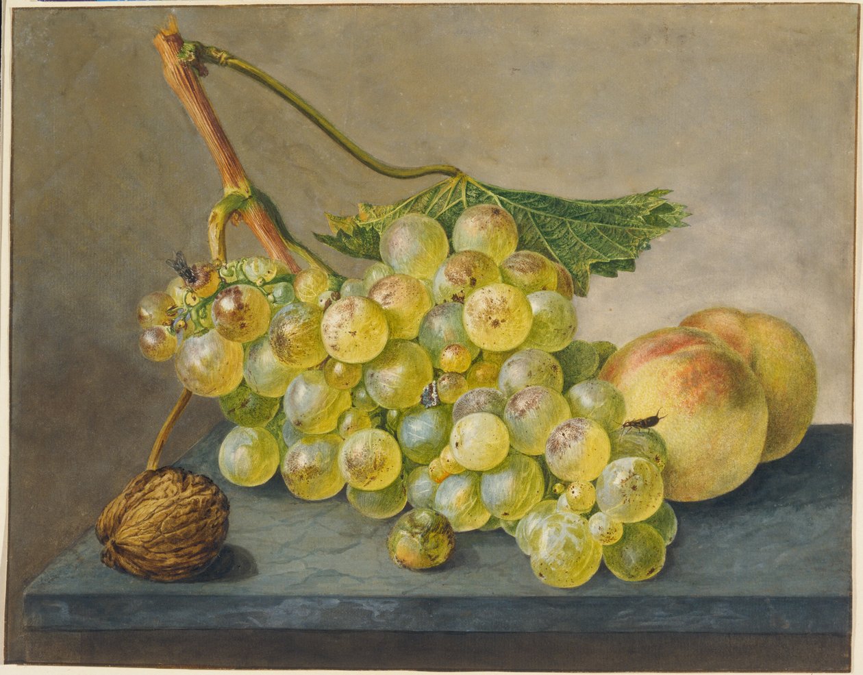 Stillleben mit Trauben, Walnuss und Pfirsichen von Wybrand Hendriks