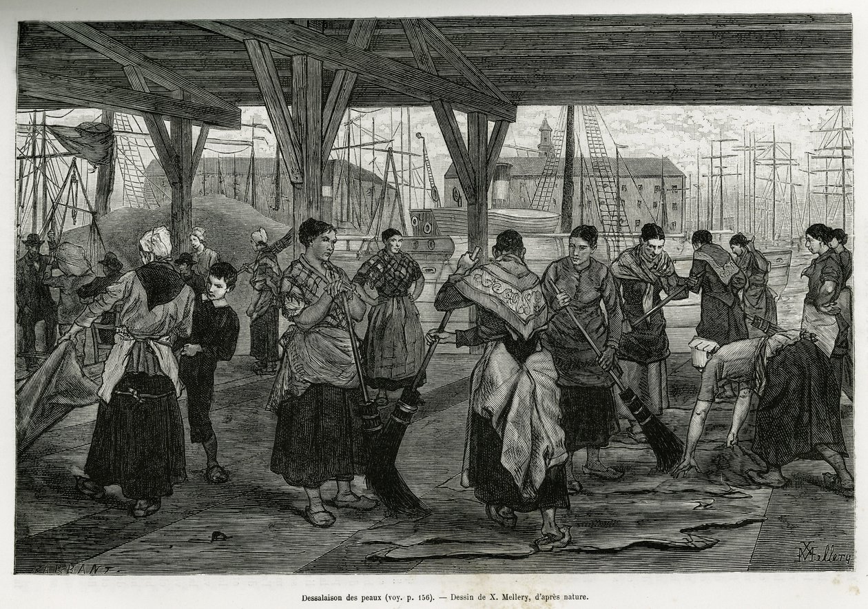 Desalation der Häute, durch Frauen, die die Überreste der Tiere unter den Strukturen der Hallen des Hafens von Antwerpen abkratzen. Gravur von X. Mellery, um die Geschichte von Belgien zu illustrieren, von Camille Lemonnier, veröffentlicht in Le tour du mo von Xavier Mellery