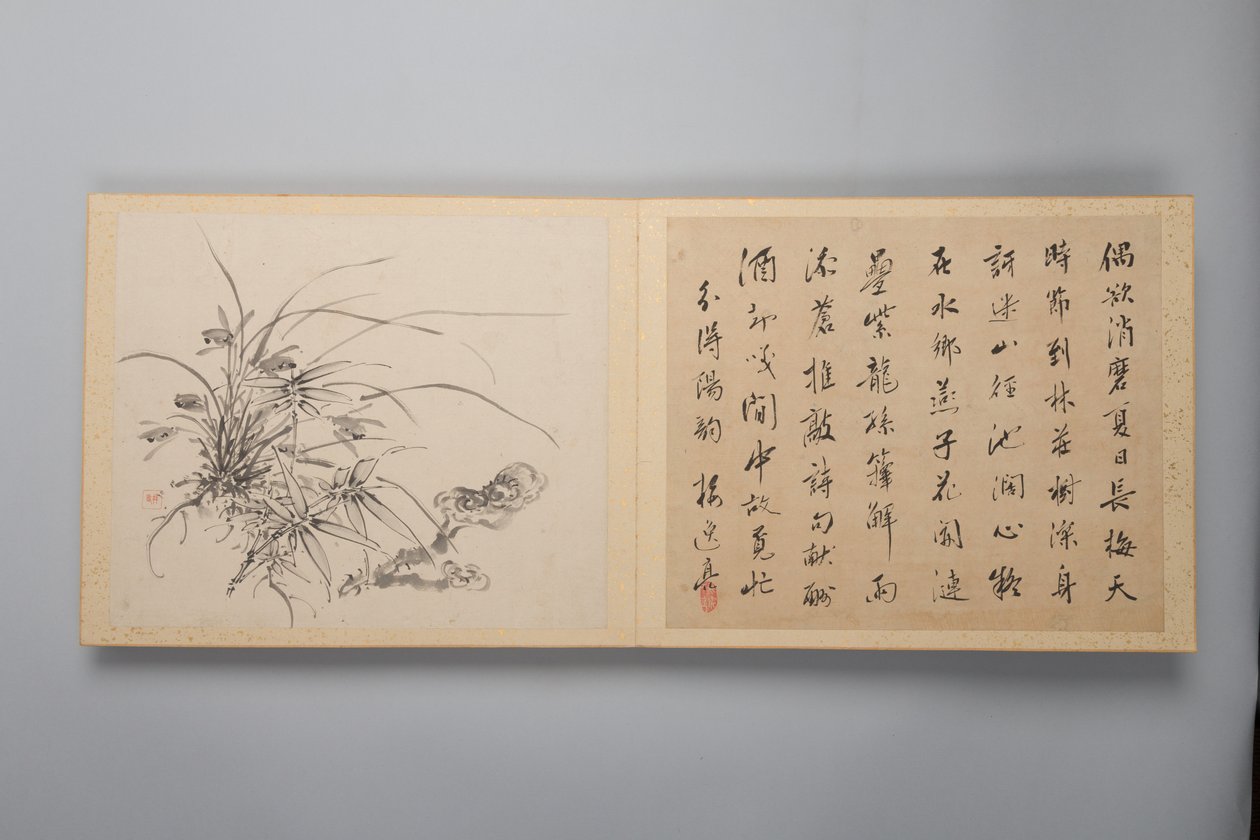 Verfeinerte Eleganz in den vier Jahreszeiten Shiji seiga, Album mit Blumenmalereien, 1844 von Yamamoto Baiitsu