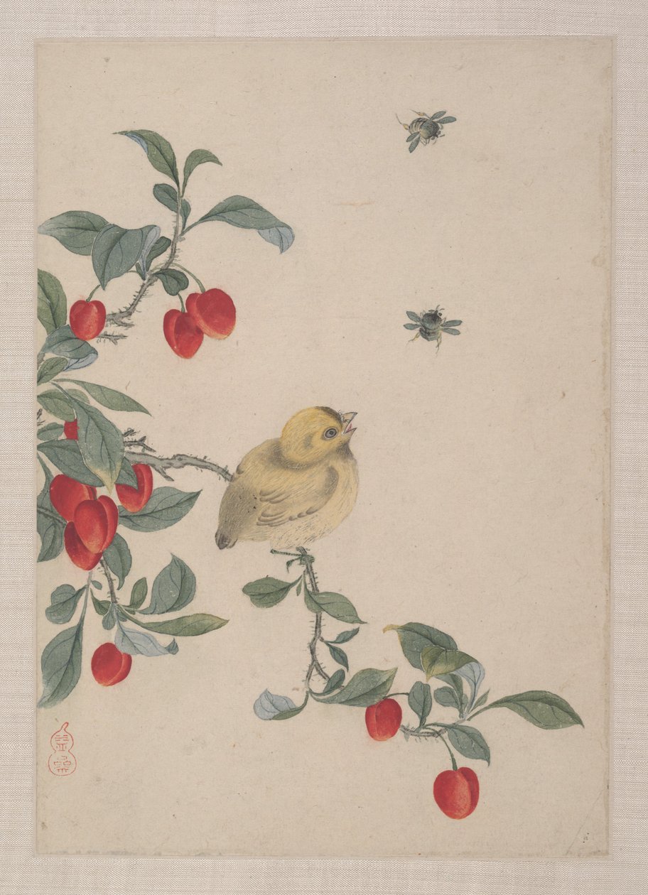 Vögel, Insekten und Blumen von Zhai Yi