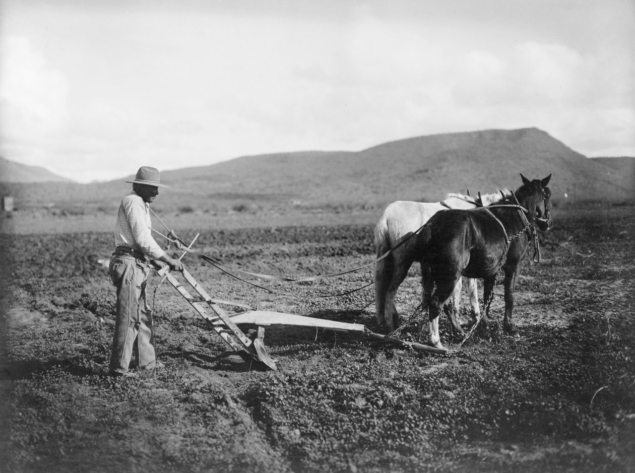 Indianer pflügt sein Land, Sacaton Indianerreservat, Arizona, ca. 1909 von . .