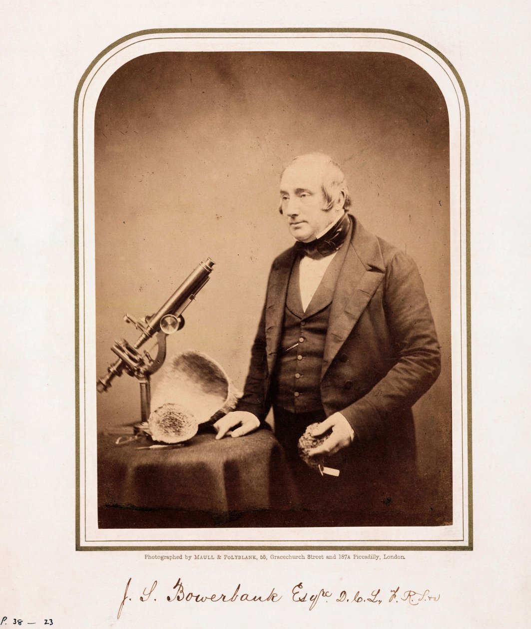 James Scott Bowerbank, britischer Geologe von Ferdinand Georg Waldmuller