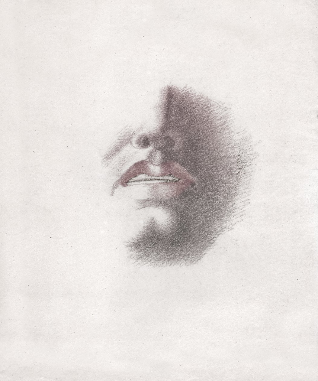 Studie für das Gesicht eines Mannes: Mund und Nase. ca. 1830 von . .