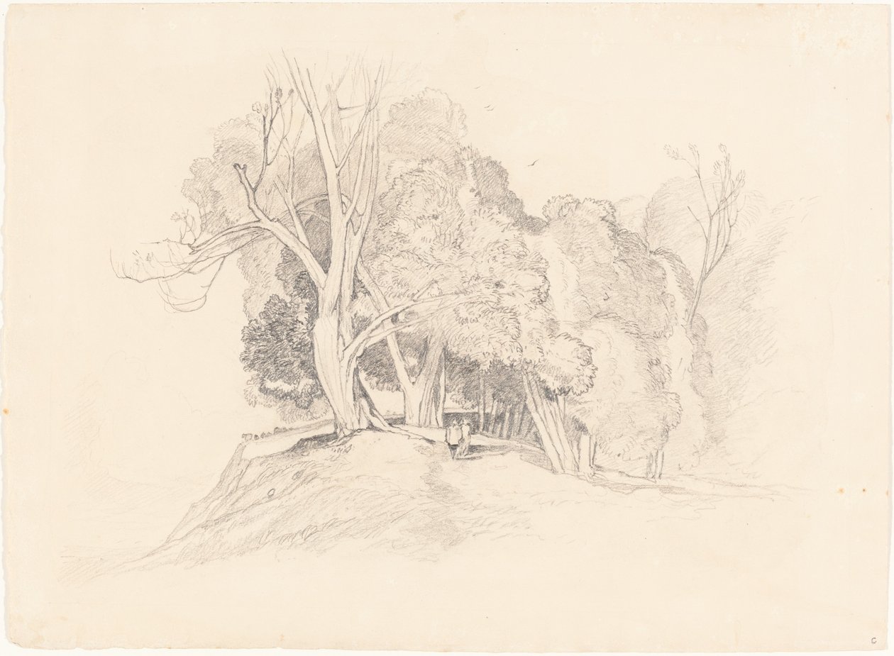 Landschaft mit Bäumen von after John Sell Cotman British 19th Century