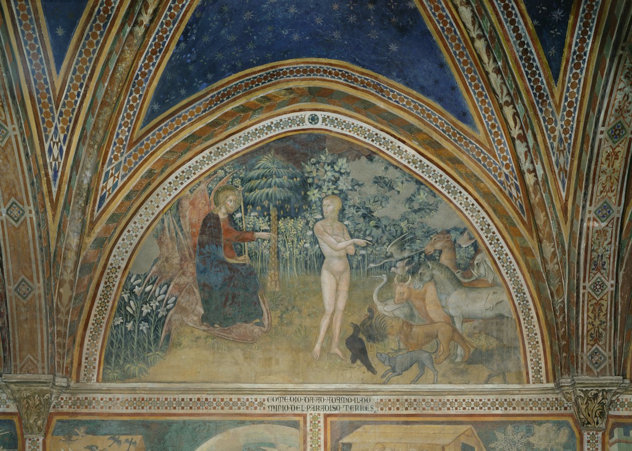 Die Erschaffung der Tiere von also Manfredi de Battilori Bartolo di Fredi