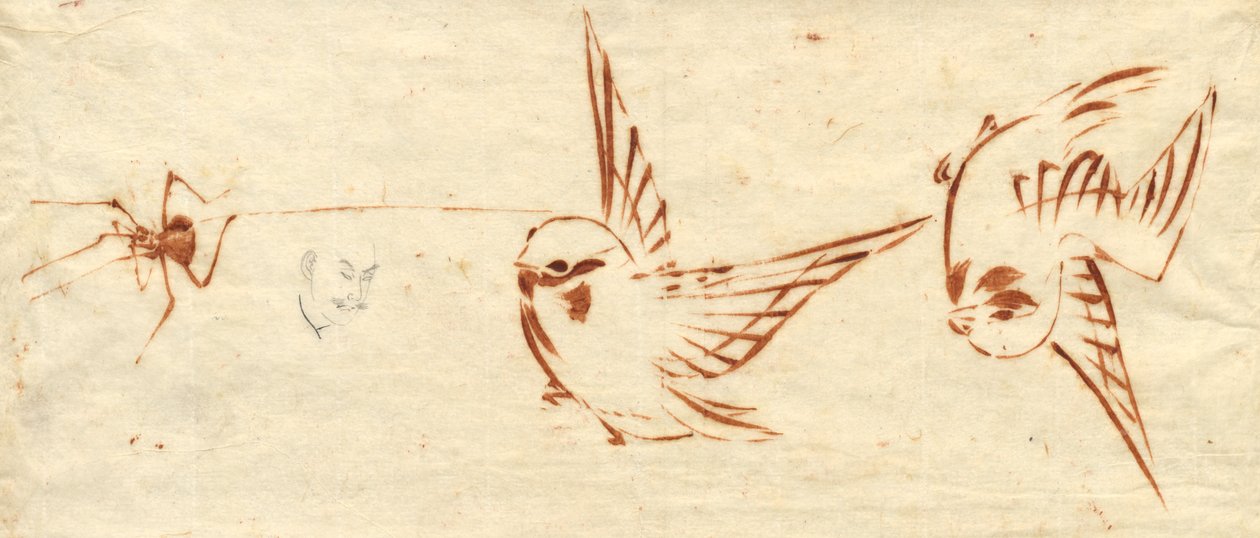 Skizzenseite mit Vögeln und Spinne von attributed to Katsushika Hokusai