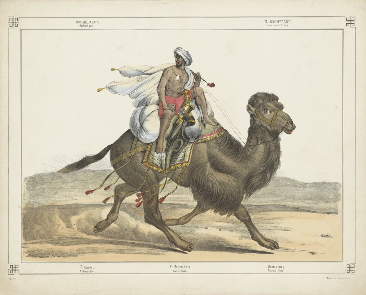 Dromedar, Arabische Post von firma Joseph Scholz