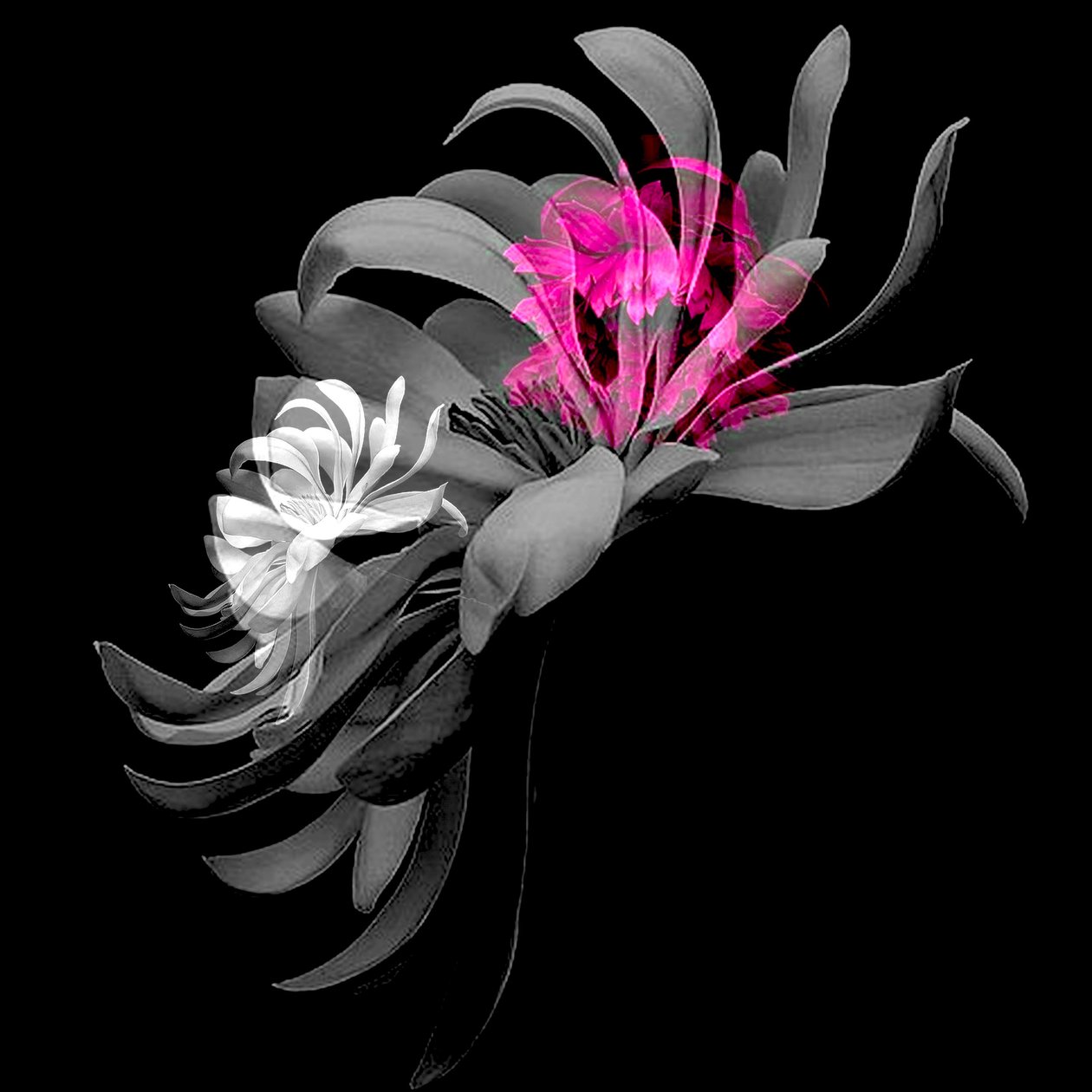 Frühlingsblumencollage, 2018 von linda arthurs