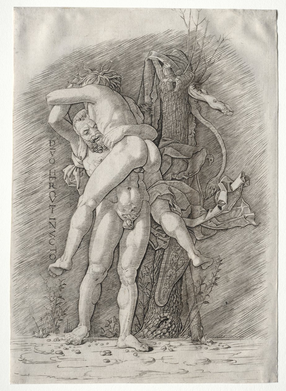 Herkules und Antäus von school of Andrea Mantegna