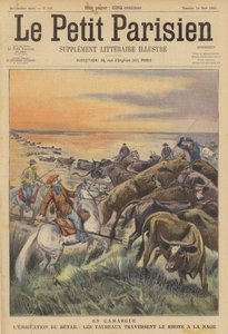 Viehwanderung in der Camargue: eine Herde von Stieren schwimmt über den Fluss Rhone (Farblithografie) von (after) Carrey