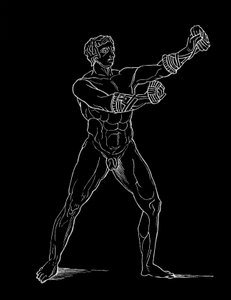 Boxer, Illustration für 