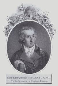 Robert John Thornton (Lithographie) von (after) English School