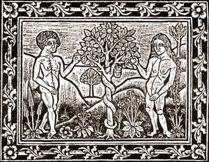 Der Baum, von dem Adam den Apfel aß, Faksimile aus einem Meditationsbuch, das erste Buch, das 1481 in Albi, Languedoc, gedruckt wurde
