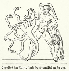 Herakles kämpft gegen die lernäische Hydra von (after) German School