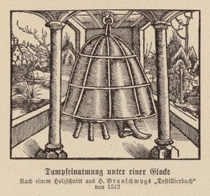 Dampfinhalation unter einer Glocke von (after) German School