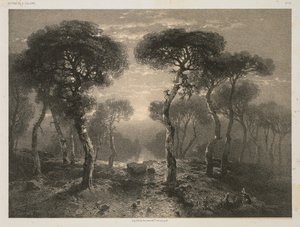 Oeuvres de A. Calame, Nr. 13: Forêt de Sierre en Valais, 1843 veröffentlicht 1851 von 12 Jacomme and Cie. R. de