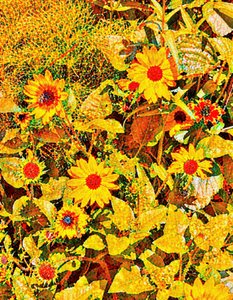 Sonnenblumen für Van Gogh. von Margareta Uliarte