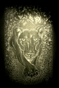The panther - grey von RosaLi