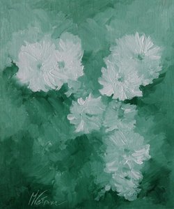 Fiori bianchi