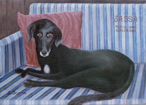 Unser Hund Sassa