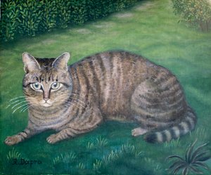 Die Katze Julia von Regine Dapra