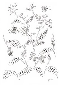 Hummel und Wildblumenstudie von june art