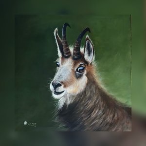 Der Wächter der Alpen