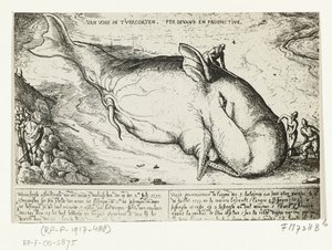 Druck von dem gestrandeten Wal bei Antwerpen, 2. Juli 1577
