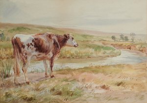 Landschaft mit Fluss und Kuh