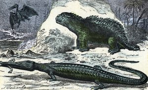 Prähistorie: Darstellung eines Teleosauriers und eines Hyleosauriers aus der Jurazeit (Gravur aus "Natur und Mensch" von Rengade)