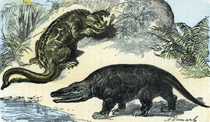 Urgeschichte: Darstellung eines Iguanodon und Megalosaurier aus der Kreidezeit
