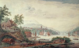 Ansichten des Rheins
