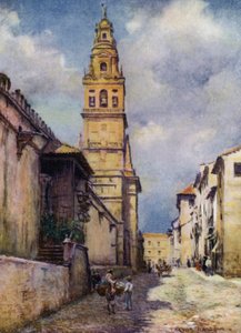 Cordova, Calle Cardinal Herrera von A. Trevor Haddon