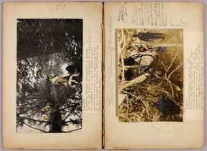 N. Amerikanische Indianer, Studienmappe für das Buch Concealing Coloration in the Animal Kingdom von Abbott Handerson Thayer