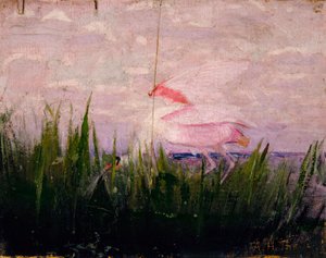 Rosalöffler, Studie für das Buch Concealing Coloration in the Animal Kingdom, ca. 1905-1909 von Abbott Handerson Thayer