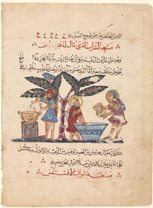 Folio aus einer arabischen Übersetzung der Materia Medica von Dioscorides