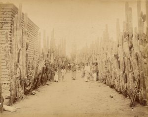 Mexiko. Straße des Dorfes San Juan, Bundesstaat Mexiko. von Abel Briquet
