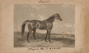 Aliwal, das Eigentum von Sir Harry Smith, Bart (Lithographie)